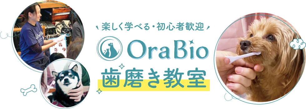 楽しく学べる・初心者歓迎「OraBio歯磨き教室」